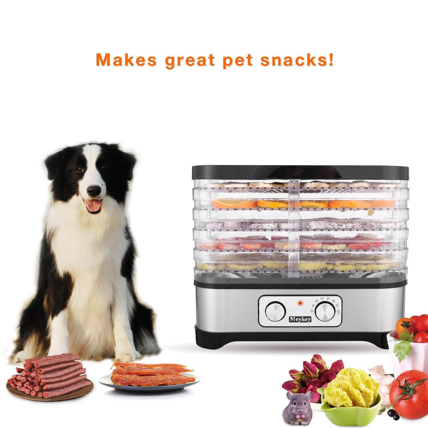 Food Dehydrator Machine, 5-Trays Electric Dryer Dehydrators for Food and  Jerky, Fruits, Vegetables, Meat, Herbs, Flowers, Dog Treats